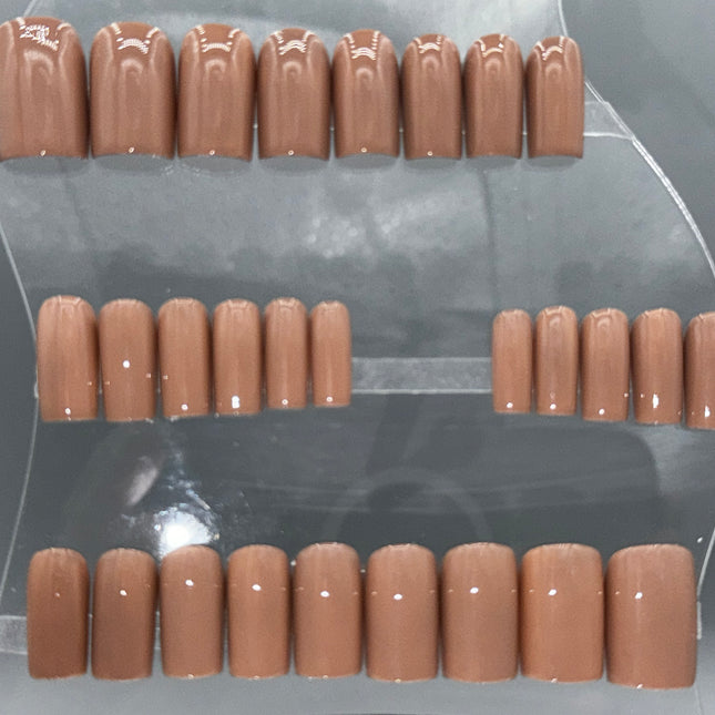 BARE BEAR - Set of 28 Nails - Square/Short