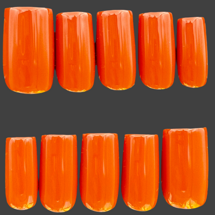 FALLBURN - Set of 28 Nails - Square/Short