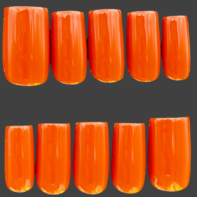 FALLBURN - Set of 28 Nails - Square/Short