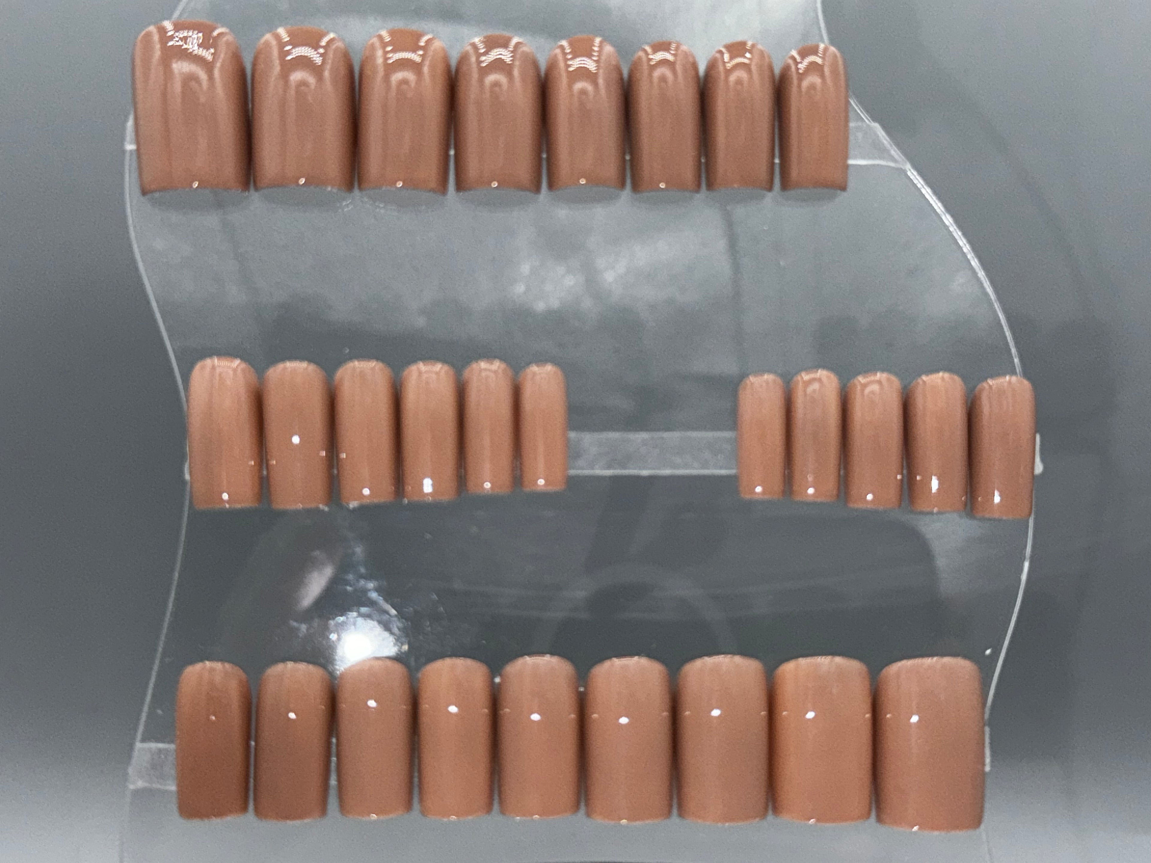 BARE BEAR - Set of 28 Nails - Square/Short