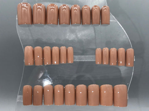 BARE BEAR - Set of 28 Nails - Square/Short