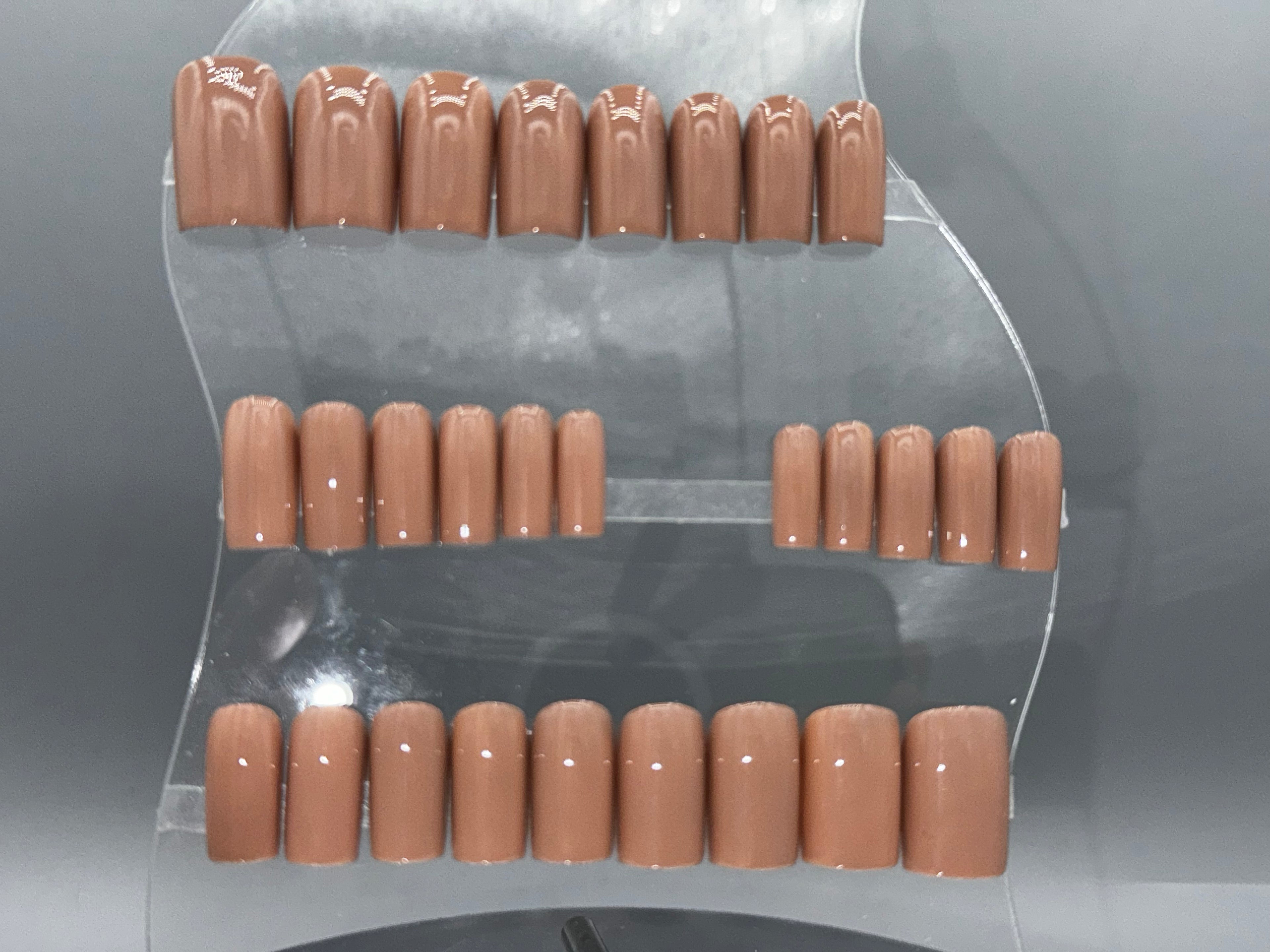 BARE BEAR - Set of 28 Nails - Square/Short
