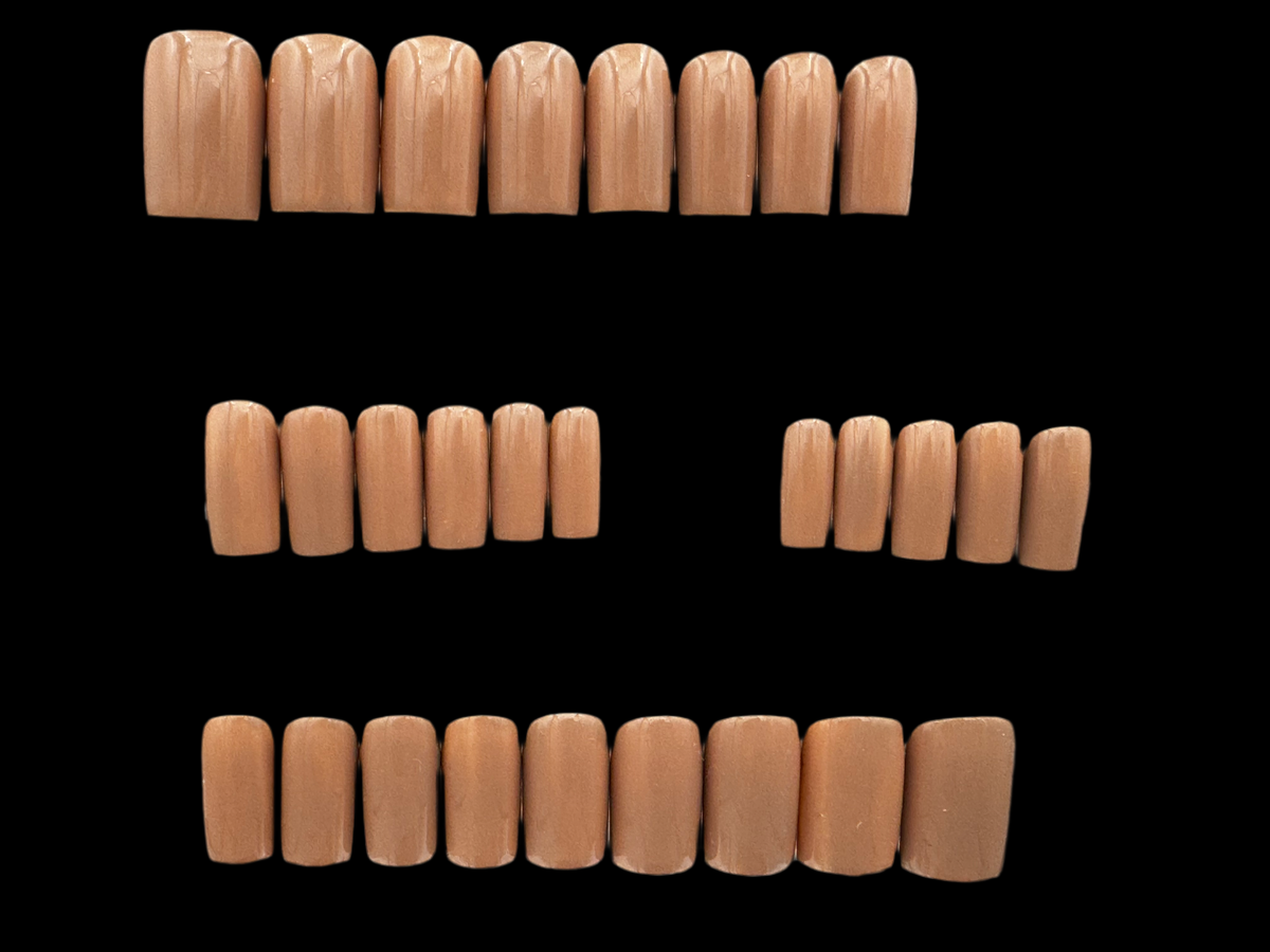 BARE BEAR - Set of 28 Nails - Square/Short