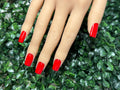 RED CLASSICS - Shape: SQUARE/Length:MEDIUM - SET OF 28 NAILS (14 size options for ea. hand)