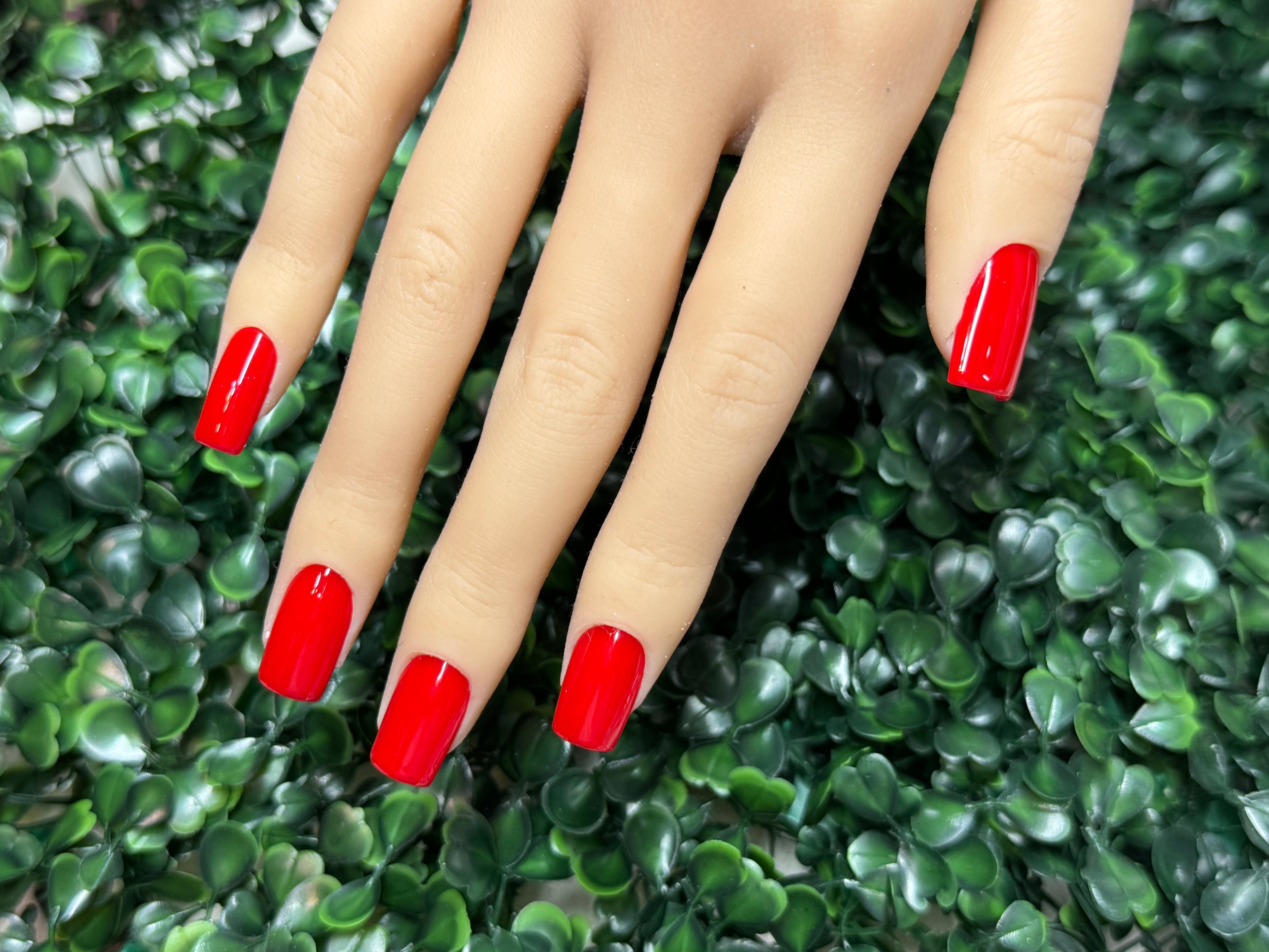 RED CLASSICS - Shape: SQUARE/Length:MEDIUM - SET OF 28 NAILS (14 size options for ea. hand)