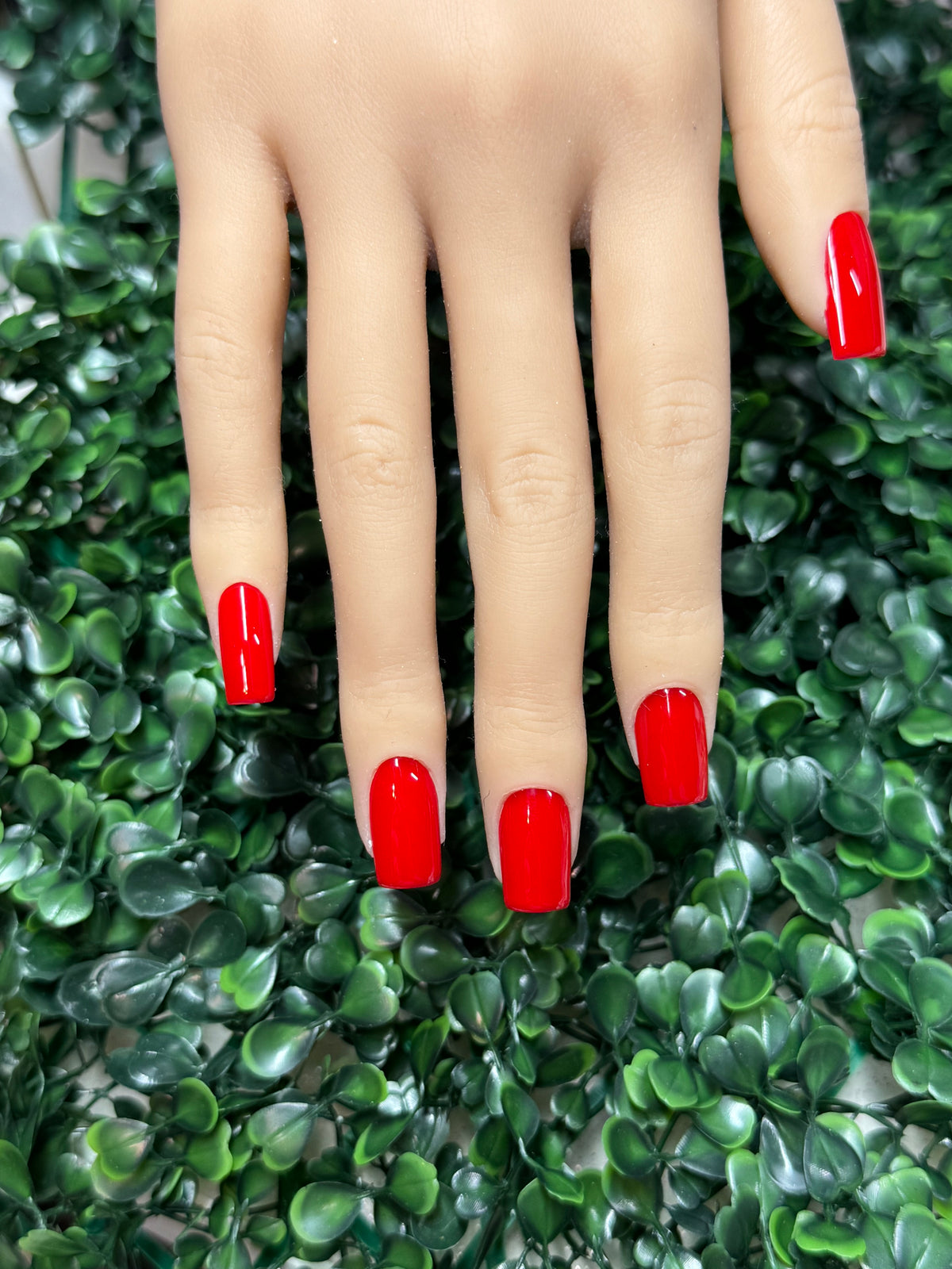 RED CLASSICS - Shape: SQUARE/Length:MEDIUM - SET OF 28 NAILS (14 size options for ea. hand)