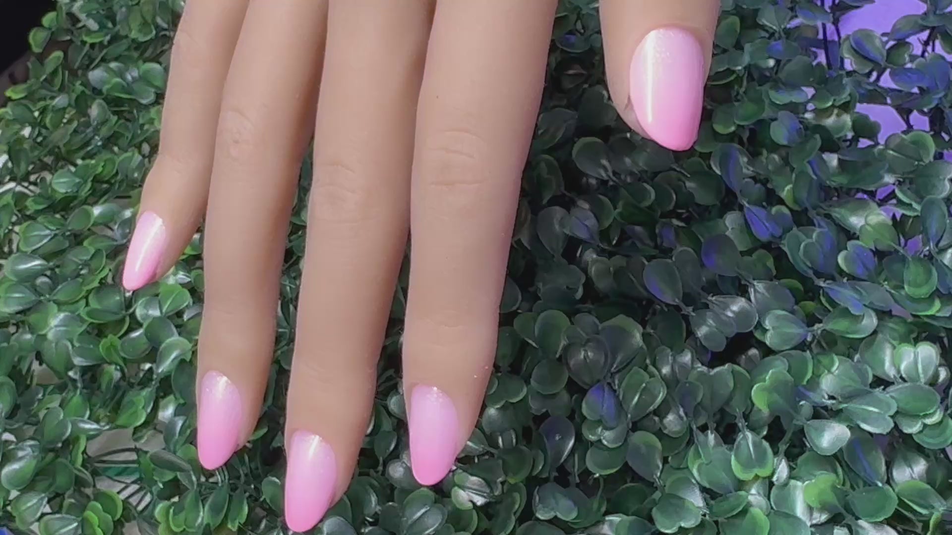 PINKALICIOUS - Short / Round - Set of 28 nails